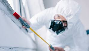 Professional Pest Control in Coral Hills, MD